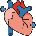 Icon tim mạch