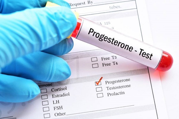 Progesterone và progestin: Chúng hoạt động như thế nào?
