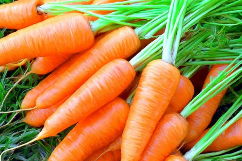 Cà rốt bổ sung vitamin gì